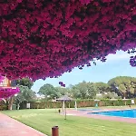 Daire Sapphire Horizon - Sea View & Pool *